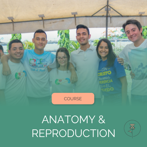 Group of teenagers with arms around one another smiling at the camera under a tent. The photo fades into green with the words "Course" and "Anatomy & Reproduction" at the bottom along with the Pearl and Thistle logo.