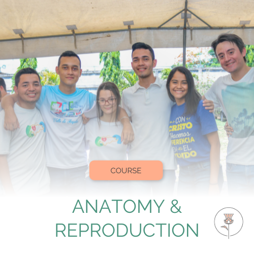 Group of teenagers with arms around one another smiling at the camera under a tent. The photo fades into white with the words "Course" and "Anatomy & Reproduction" at the bottom along with the Pearl and Thistle logo.