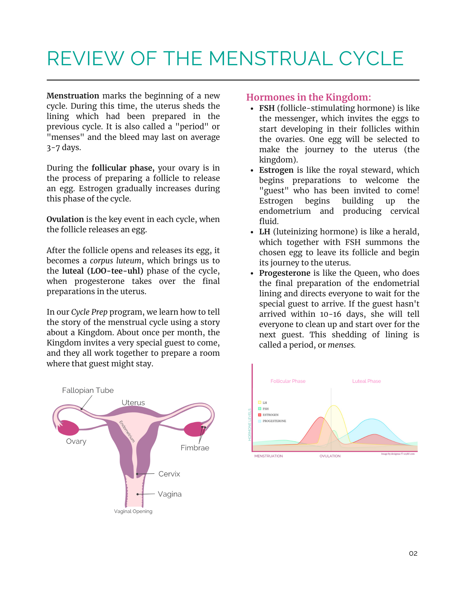 Sample page of workbook regarding review of the menstrual cycle with uterus graphic and chart
