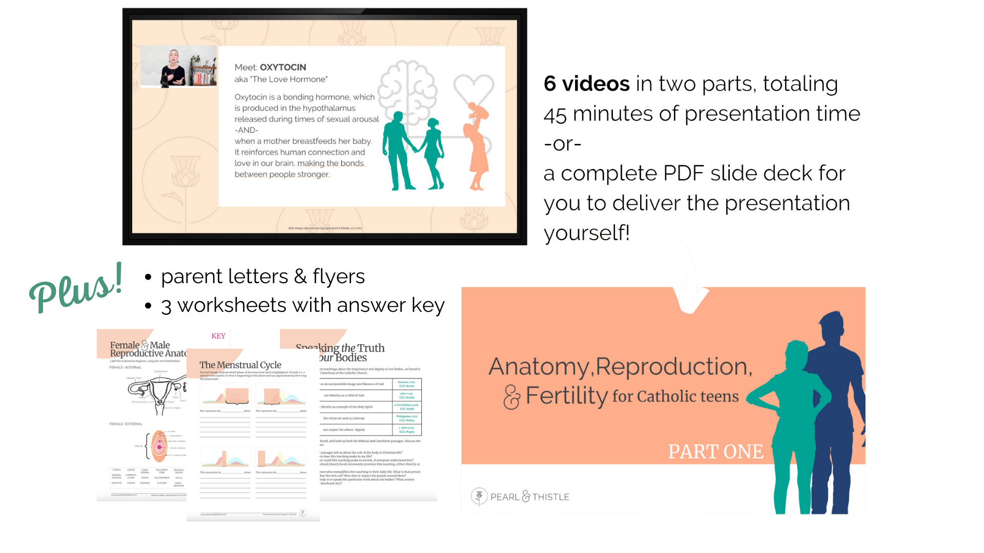 Pictures tablet with scene from Anatomy, Reproduction, & Fertility course; sample slide from course; three worksheets; and the words "6 videos in two parts, totaling 45 minutes of presentation time or a complete PDF slide deck for you to deliver the presentation yourself! Plus parent letters & flyers, 3 worksheets with answer key."