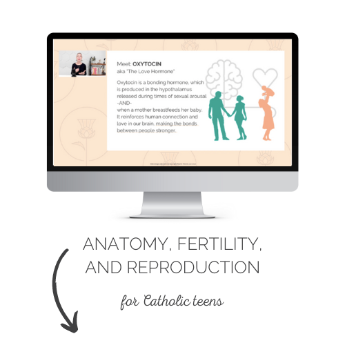 Desktop computer featuring slide from Anatomy, Fertility, & Reproduction course about Oxytocin. The words "Anatomy, Fertility, and Reproduction for Catholic teens" appears with an arrow pointing down.