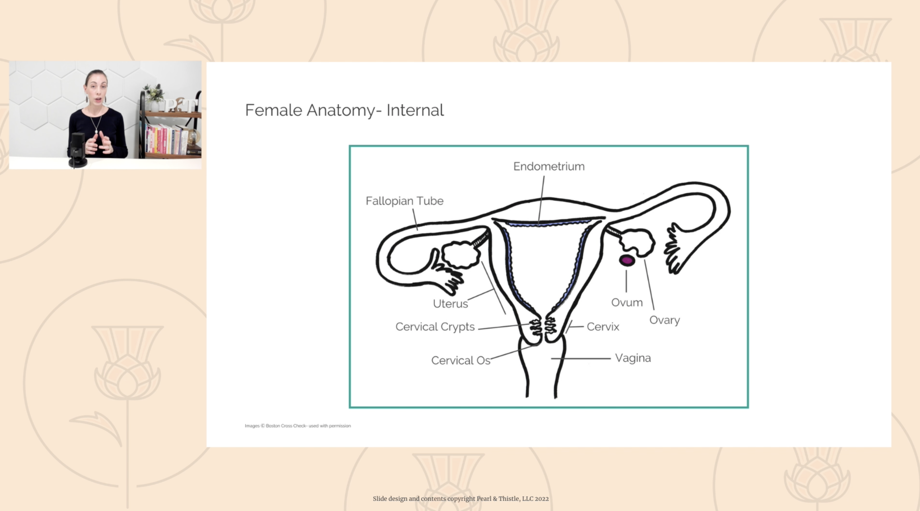 Sample slide from Anatomy, Fertility, & Reproduction course featuring orange background and repeating Pearl and Thistle logo. A woman talks in one corner of the screen while a graphic of female internal anatomy is shown.