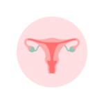 Pink circle graphic with illustrated uterus in pink and green