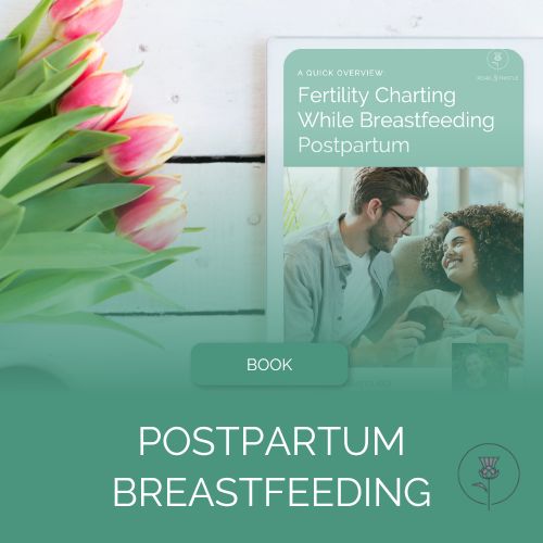 e-reader displays title "Fertility Charting While Breastfeeding Postpartum" next to tulips and coffee on a table