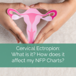display model of uterus being held by woman's hands. white text on green background reads: cervical ectropion- what is it? how does it affect my nfp charts?