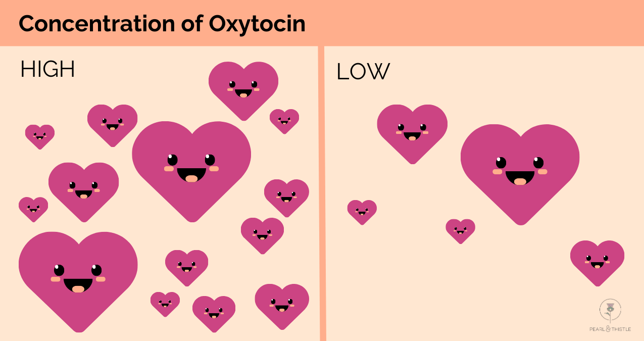 image shows hearts representing oxytocin. on the left we see high concentration of oxytocin, and on the right there is a low concentration of oxytocin