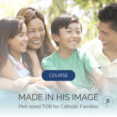 mother father girl and boy smile text reads "course" and says "made in his image: pint-sized theology of the body for catholic families" with pearl and thistle logo