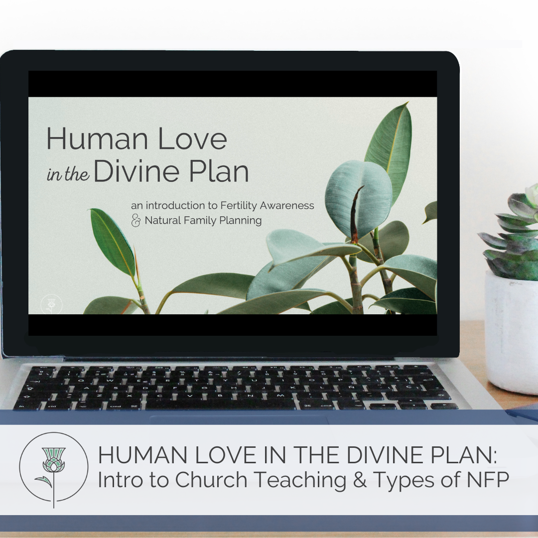 computer displays slide deck entitled "Human Love in the Divine Plan"