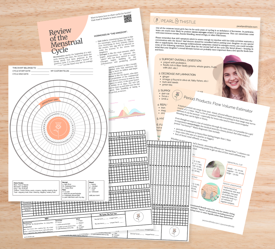 table shows printed copies of handouts including sample charts, review of menstrual cycle, flow estimator, and hormones sheet