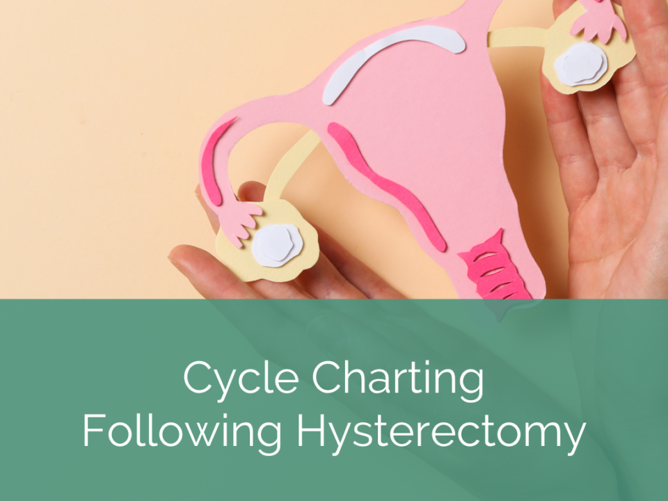 text reads "cycle charting following hysterectomy" with image of hands hold paper model of uterus and ovaries